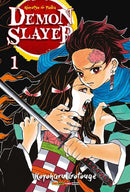Demon Slayer - Kimetsu No Yaiba 01